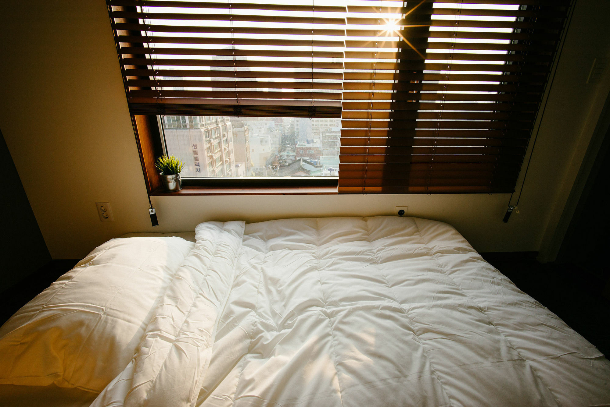 Morning Dew Guesthouse 釜山広域市 エクステリア 写真